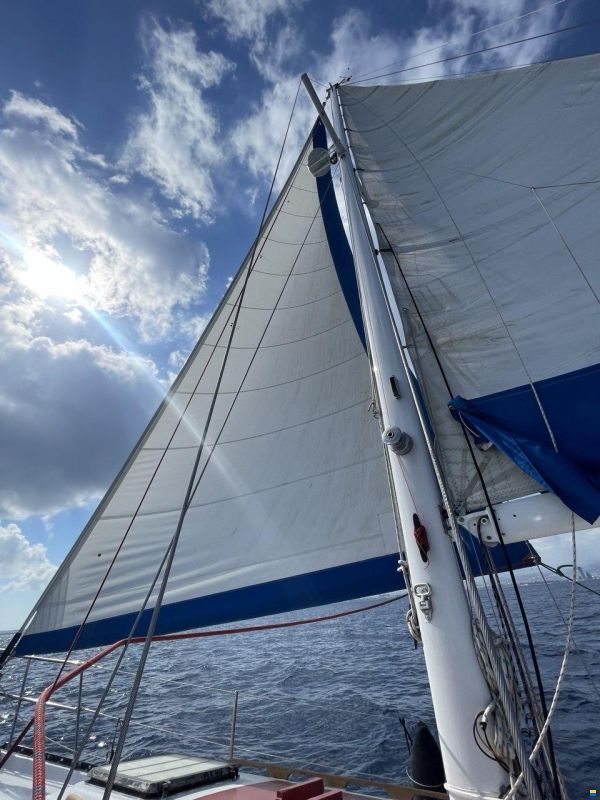 Hunter Marine Hunter 36