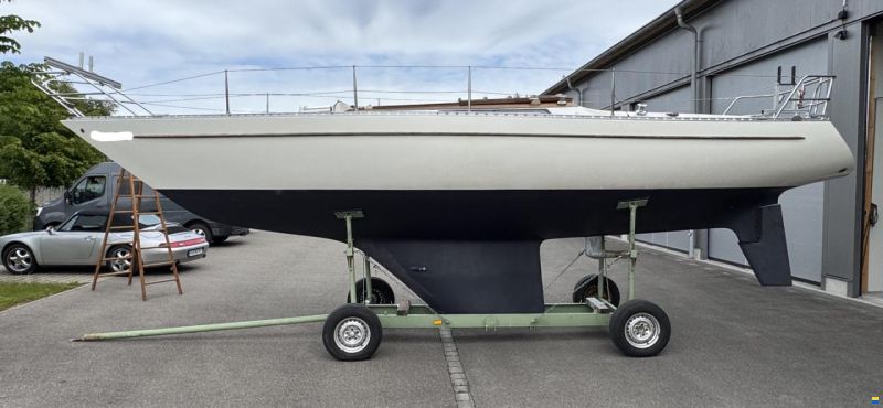 Helmsmann Senorita Helmsman