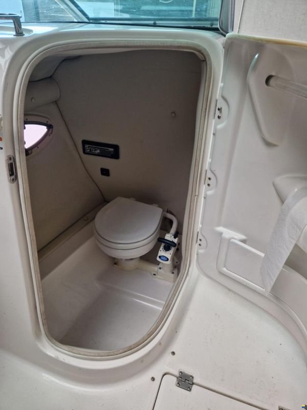 Chaparral 236 SSX