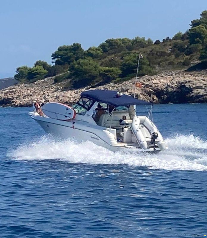 Sea Ray 300 DA