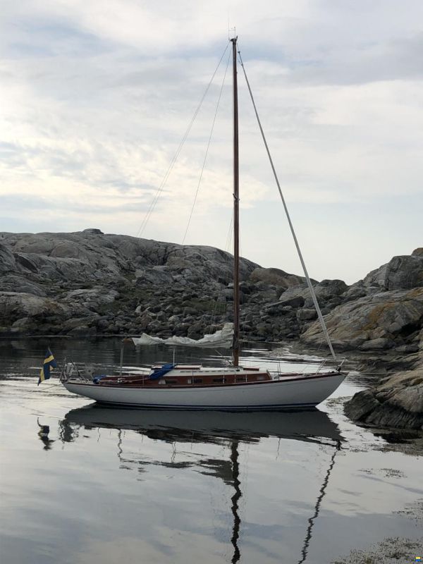 Tore Holm Havskryssare