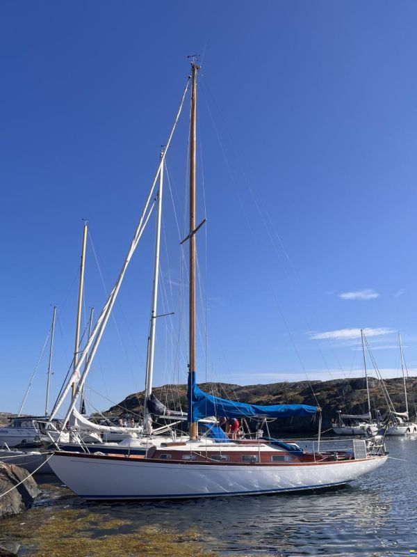 Tore Holm Havskryssare