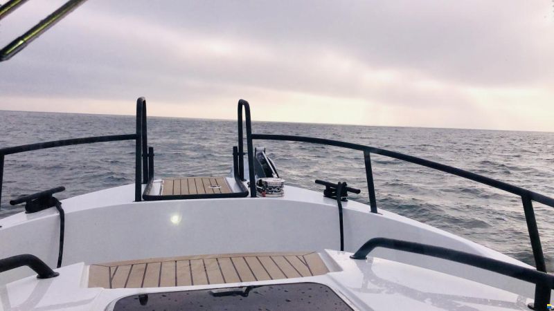 Sargo 28