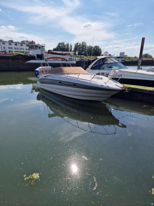 Crownline 250