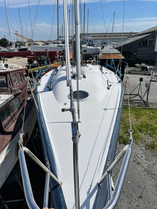 Carrol Marine 1D35