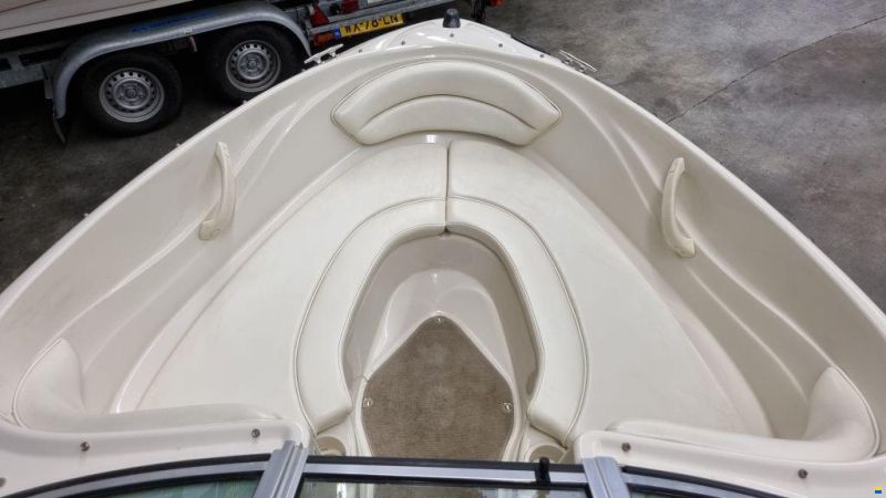 Sea Ray 175 Sport met trailer