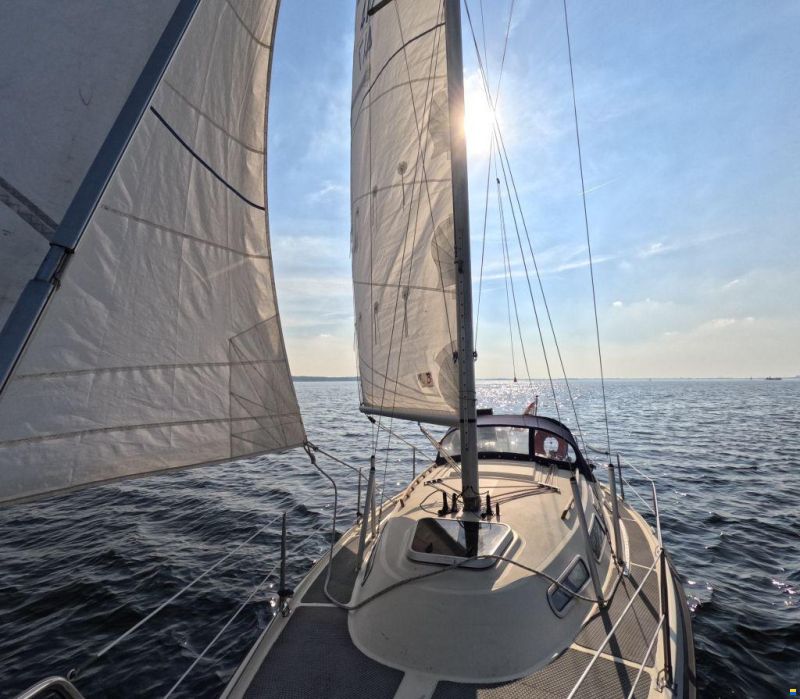 Hurley 800