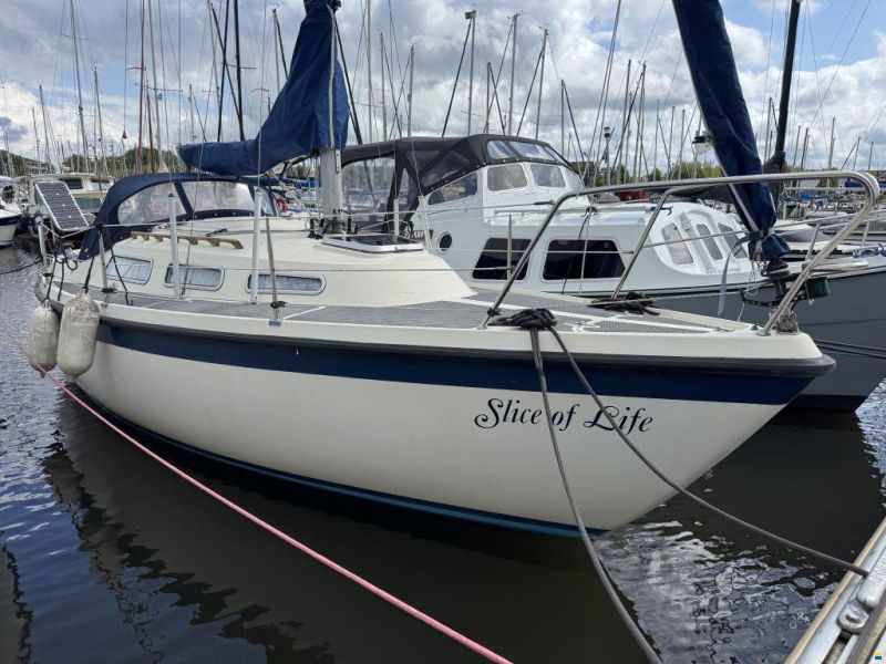 Hurley 800