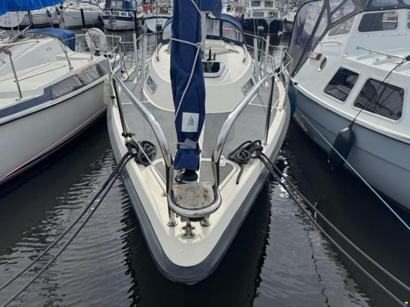 Hurley 800