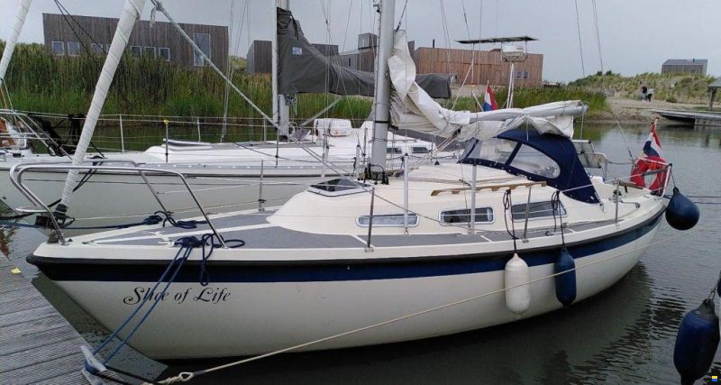 Hurley 800