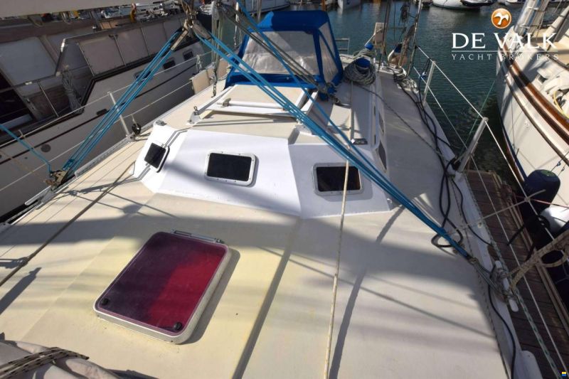 Panoramer 40
