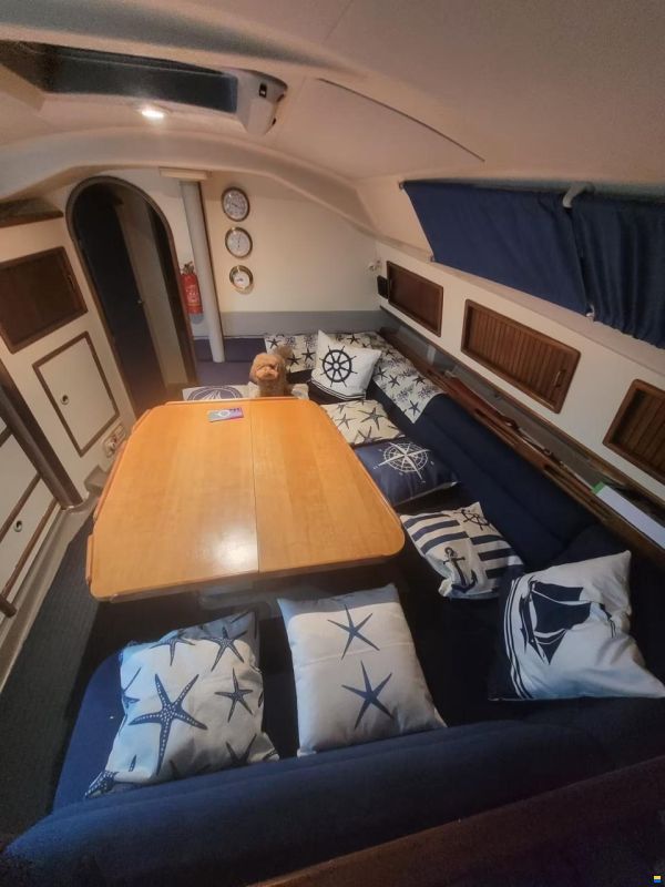 Dehler 36 CWS