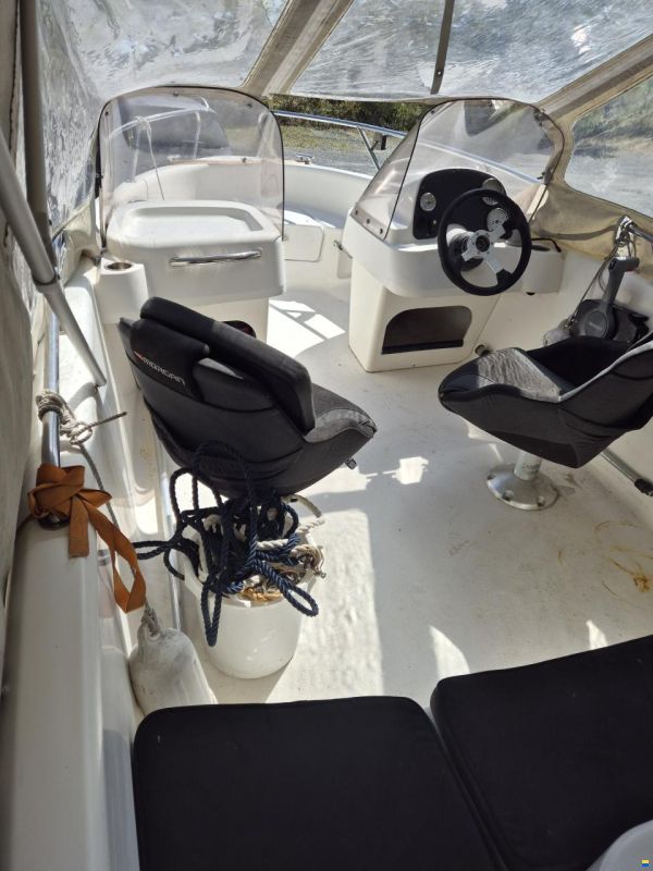 Accentor Morgan 490