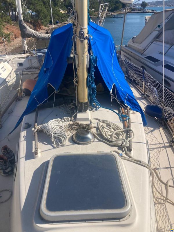 Hallberg-Rassy Monsun 31
