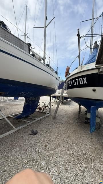 Velmare Donoratico 28