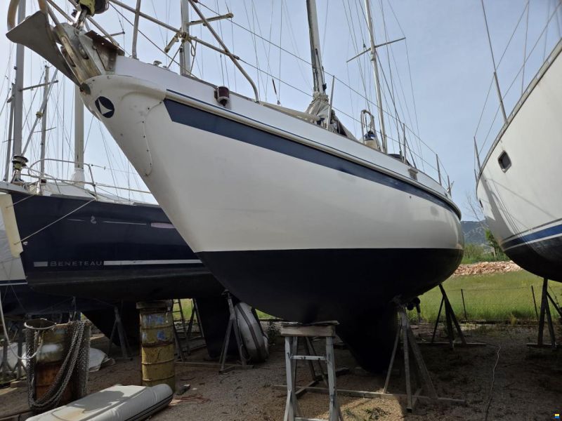 Alpa 42