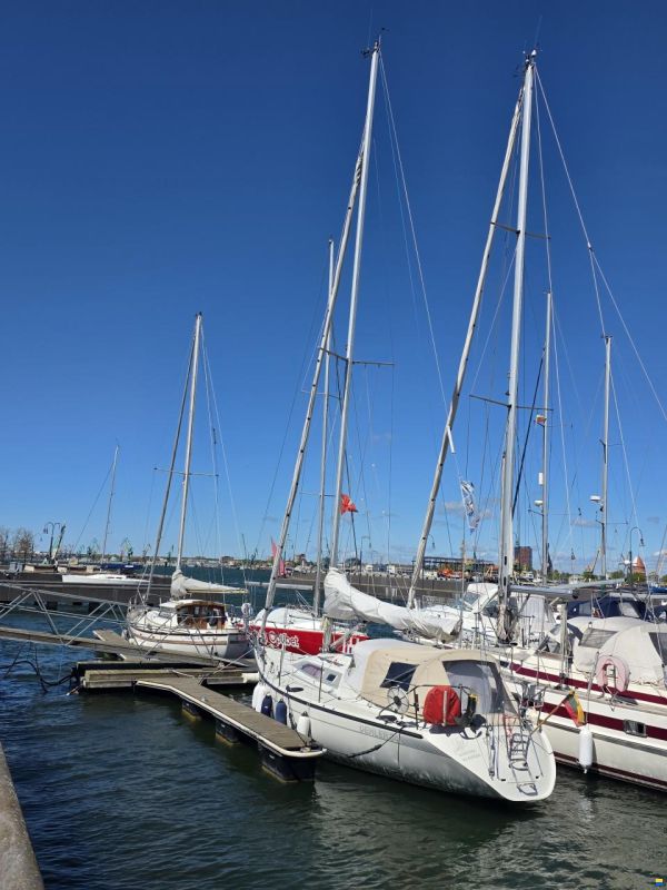 Dehler 34 Top Nova