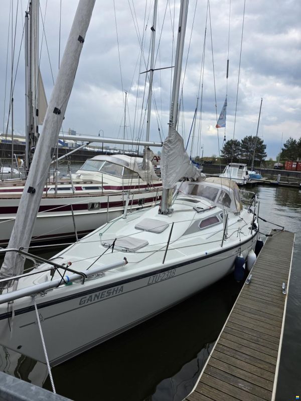 Dehler 34 Top Nova