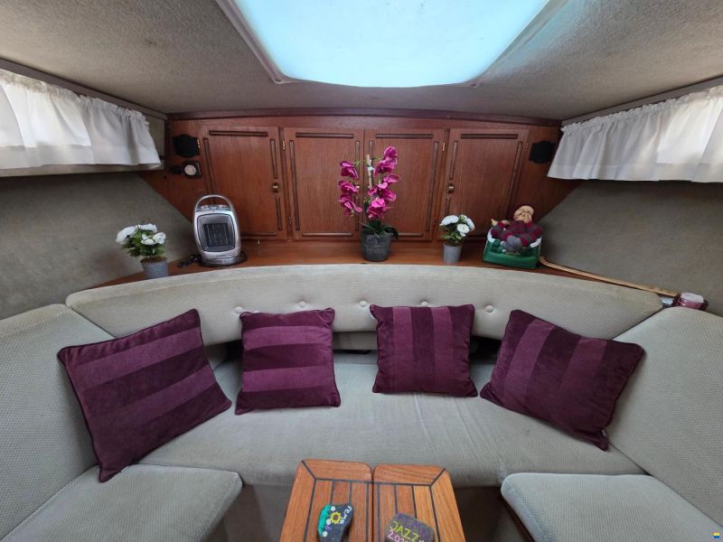 Cytra Skipper 31 SG