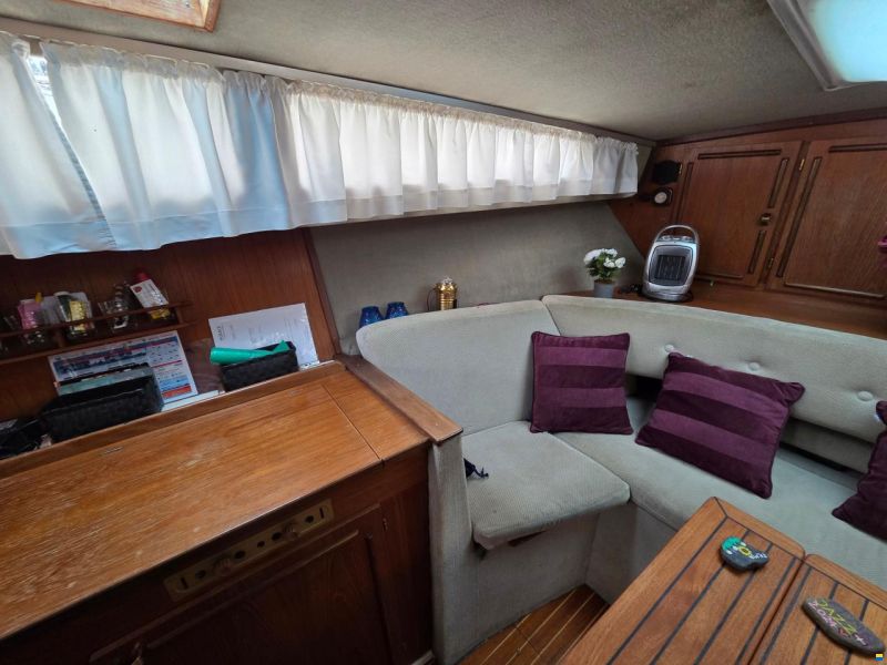 Cytra Skipper 31 SG