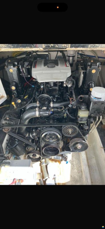 Crownline 275 CCR