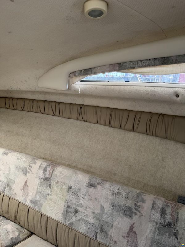 Bayliner 2355