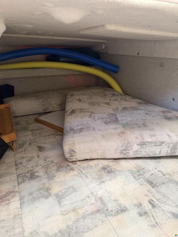 Bayliner 2355