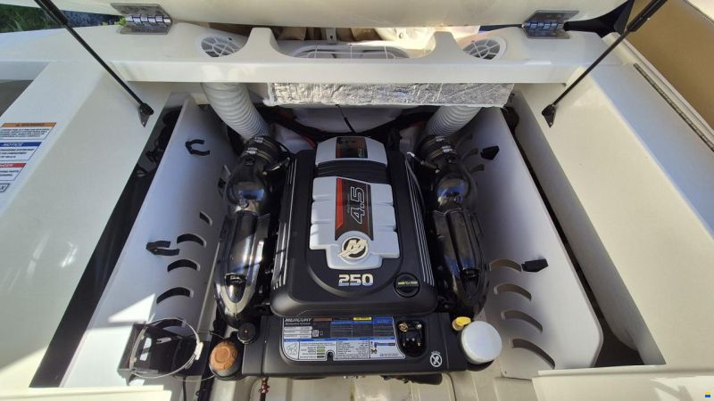 Sea Ray SPX 230
