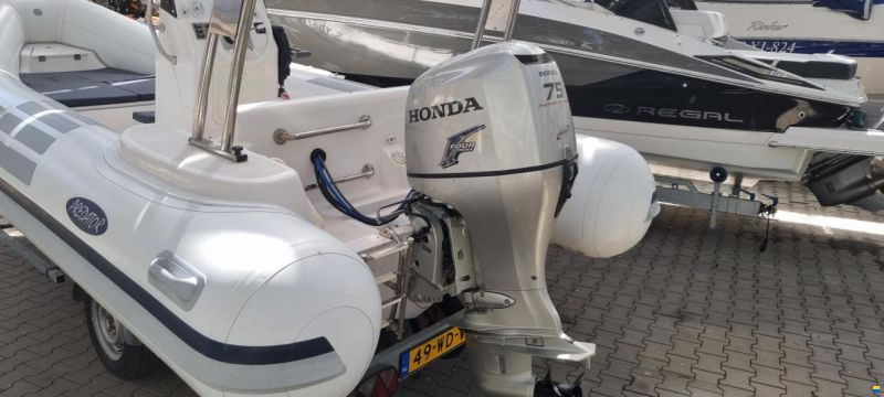 Italboats Predator 540