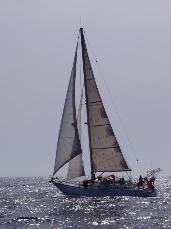 Sparkman and Stephens Stephens 47 ''Papageno''