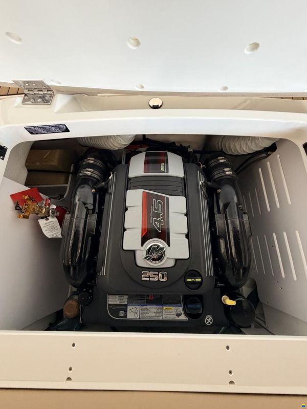 Sea Ray 190 SPX