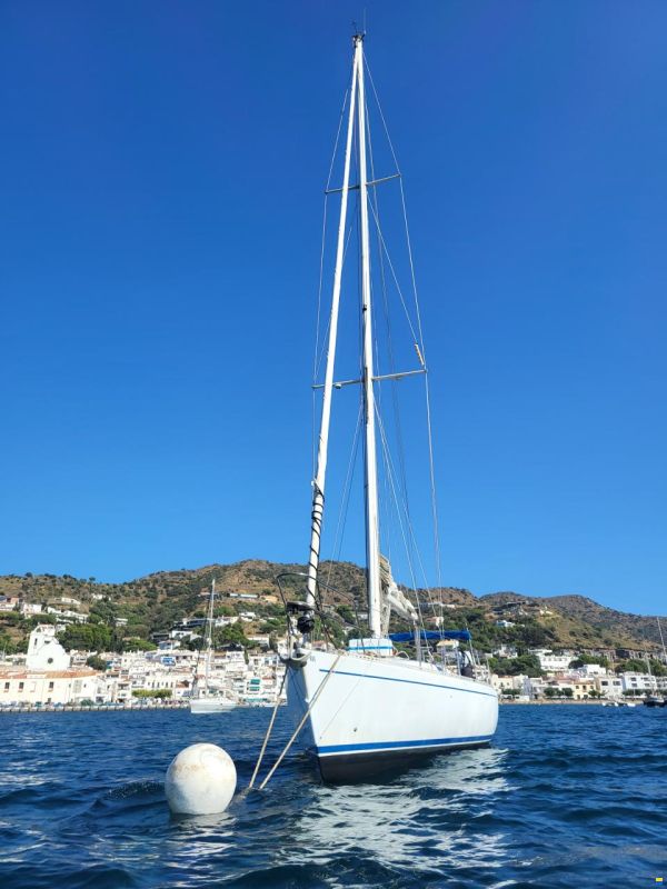 Comar Genesi Sport 43