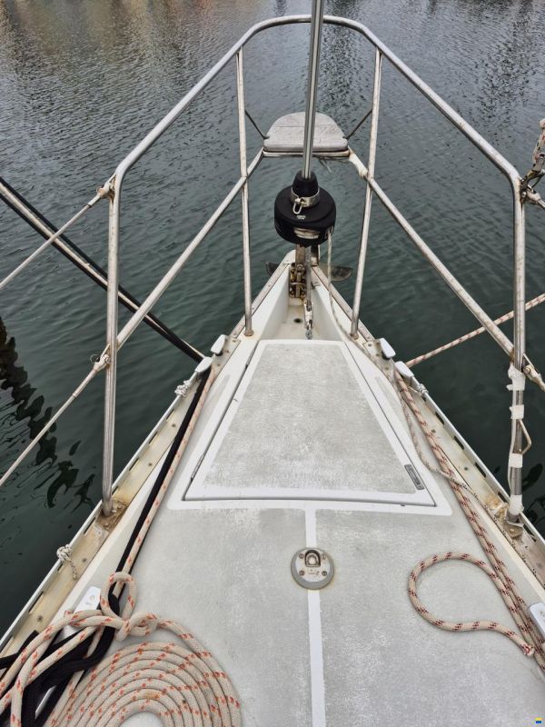 Comar Genesi Sport 43