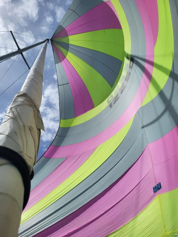 Comar Genesi Sport 43