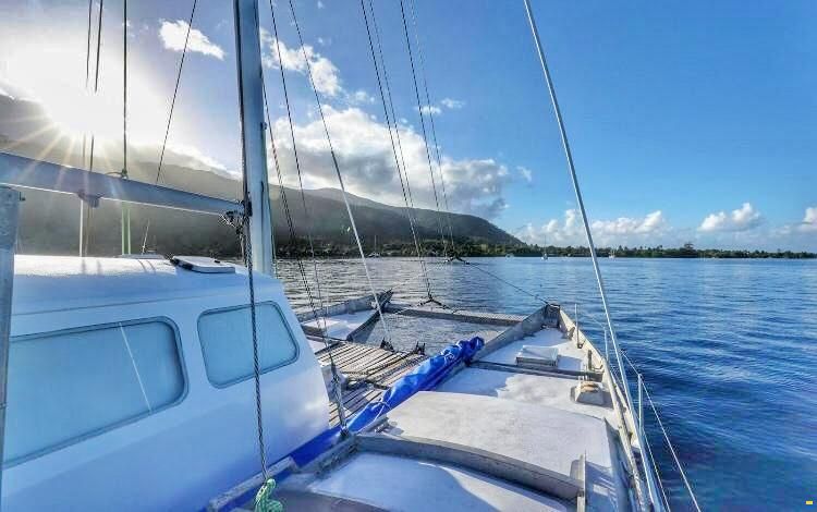 Wharram Narai 42