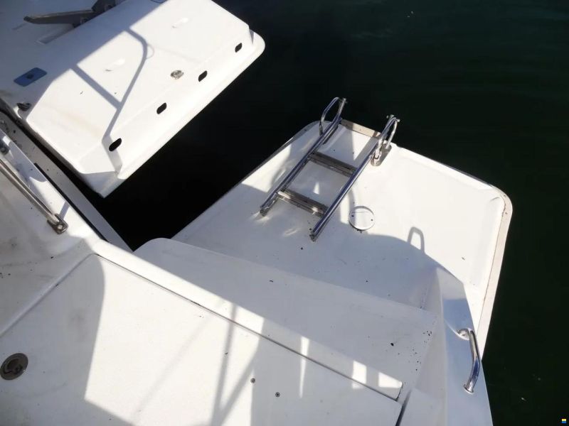 Leopard 51 Powercat