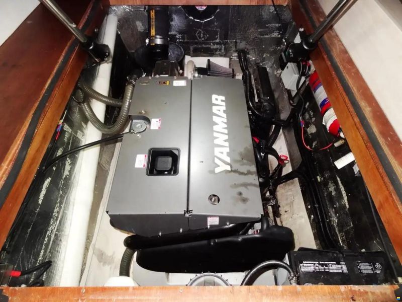 Leopard 43 Powercat