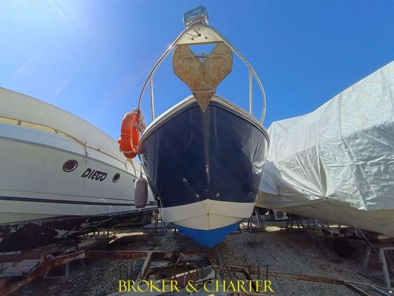 Rinker 260