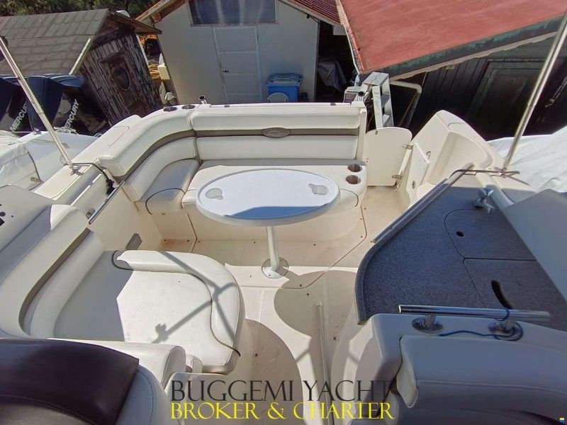 Rinker 260