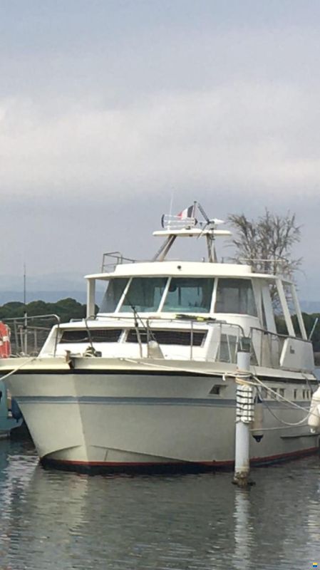 Ancora 44