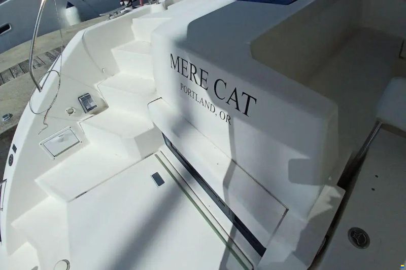 Leopard 45