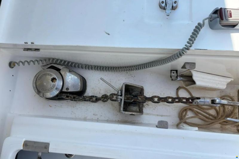 Leopard 40