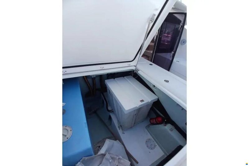 Leopard 40