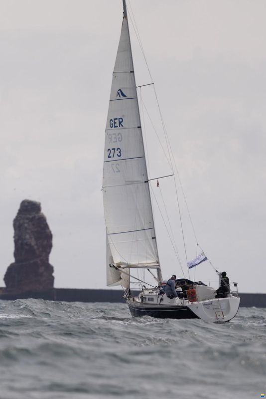Hanse 311