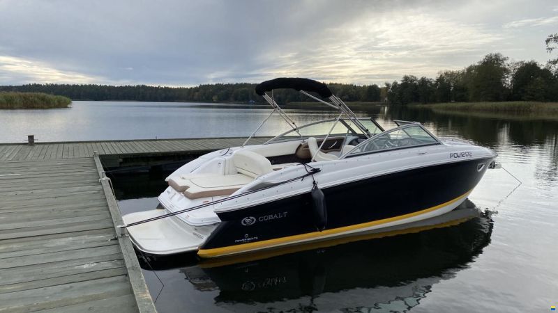 Cobalt 243 Cuddy
