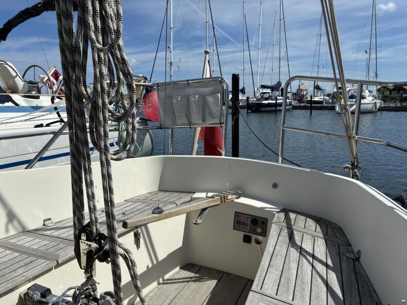 L29