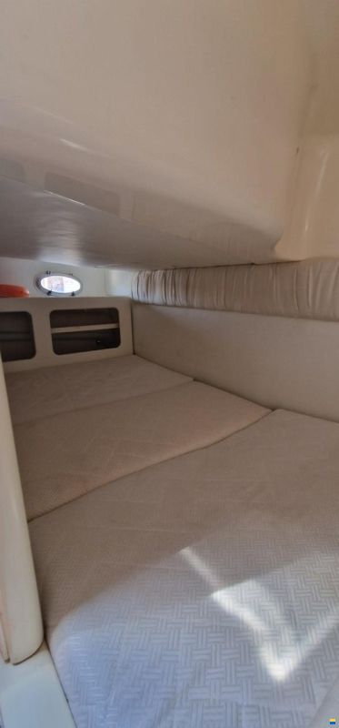 Cranchi Perla 25