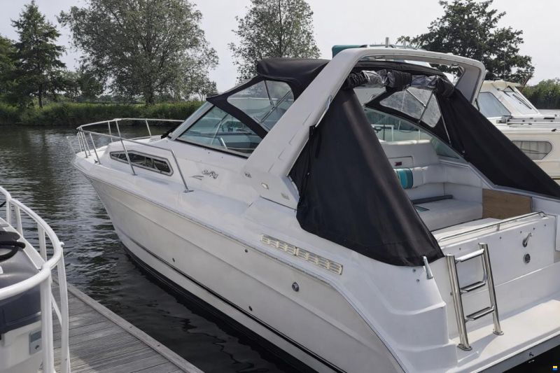 Sea Ray Sundancer 290