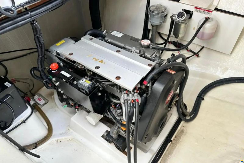 Leopard 50