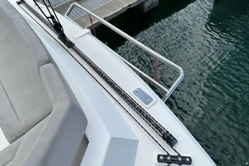 Leopard 50